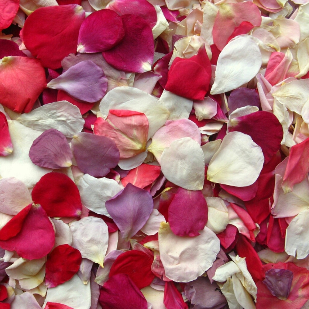 Dried Rose Petals ~ A Valentine Favorite